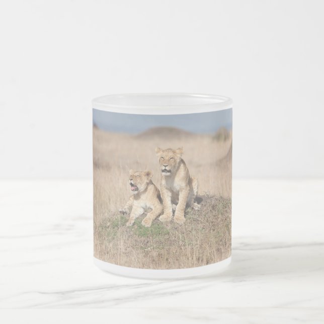 Taza De Cristal Esmerilado Leones jóvenes (Centro)