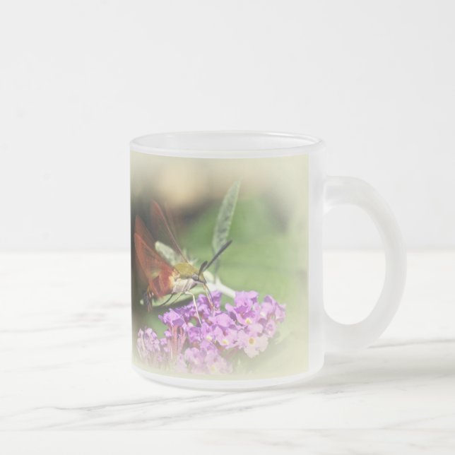 Taza De Cristal Esmerilado Limpiando polilla de halcón - Hemaris thysbe (Derecha)