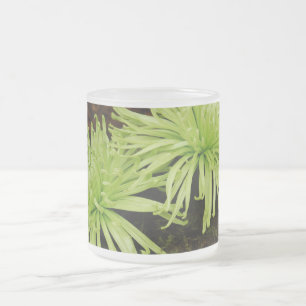 Taza De Cristal Esmerilado Mamá de la araña
