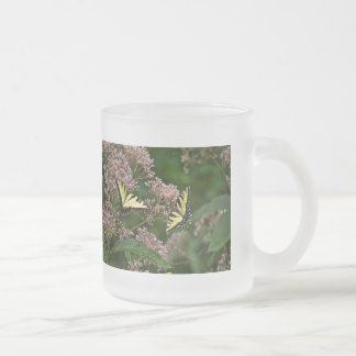 Taza De Cristal Esmerilado Mariposas de cola de toro de tigre en Joe Pye Weed