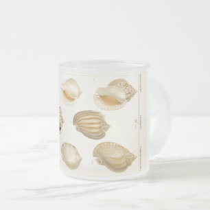 Taza De Cristal Esmerilado Moluscos de cosecha rústica marea café tafetán