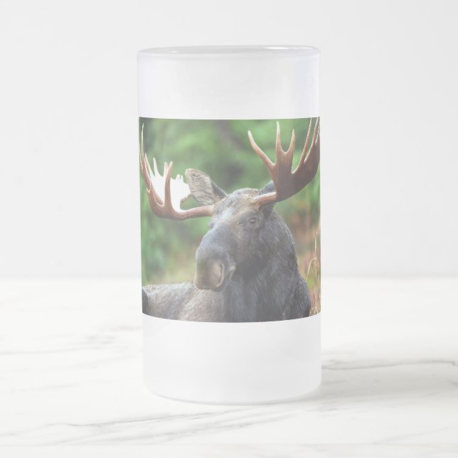 Taza De Cristal Esmerilado Moose (Centro)