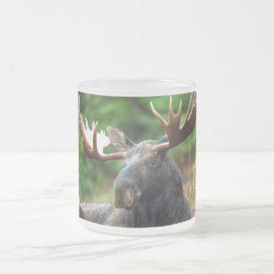 Taza De Cristal Esmerilado Moose