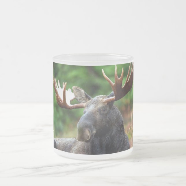 Taza De Cristal Esmerilado Moose (Centro)