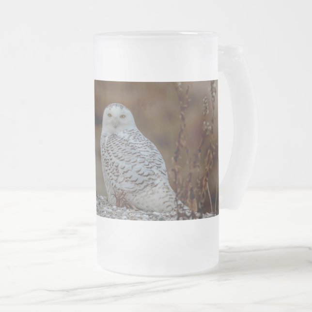 Taza De Cristal Esmerilado Nieve sobre una roca (Anverso derecho)