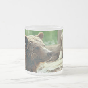 Taza De Cristal Esmerilado Ojos animales de la cara del oso adorable lindo de