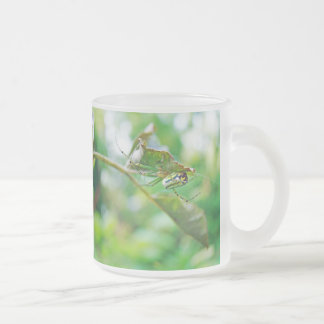 Taza De Cristal Esmerilado Orchard Orbweaver Spider - Leucauge venusta