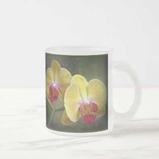 Taza De Cristal Esmerilado Orquídeas Amarillas de la Moda - Falenopsis