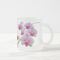 Orquídeas de polilla rosadas - Phalaenopsis