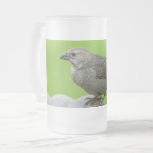 Taza De Cristal Esmerilado Pájaro de vaca marrón Cerveza de vidrio escarcha
