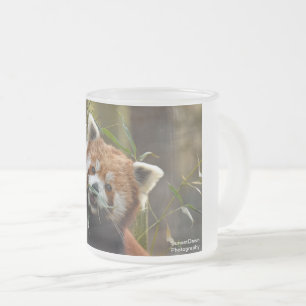 Taza De Cristal Esmerilado Panda rojo