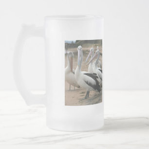 Taza De Cristal Esmerilado Pelícanos australianos en la isla Phillip