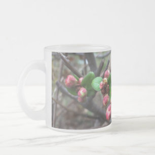 Taza De Cristal Esmerilado Primeras brotes rosas