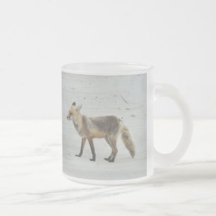 Taza De Cristal Esmerilado Red Fox Vixen - Island Beach State Park - NJ
