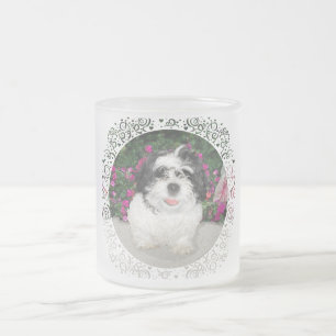 Taza De Cristal Esmerilado Rescate de cachorro de Shih Tzu blanco y negro
