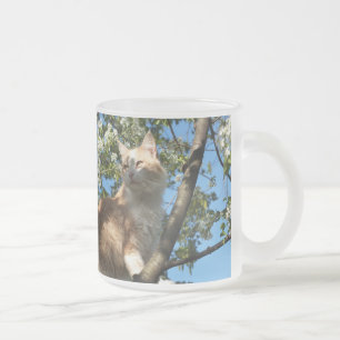 Taza De Cristal Esmerilado Sahara Cat En Un Árbol De Fotografía