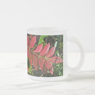 Taza De Cristal Esmerilado Saltos Sumac En Otoño
