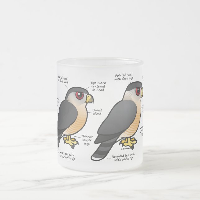 Taza De Cristal Esmerilado Sharpie del gallinero v (Centro)