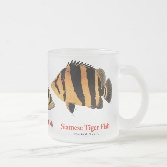 Taza De Cristal Esmerilado Siamese Tiger fish (Derecha)