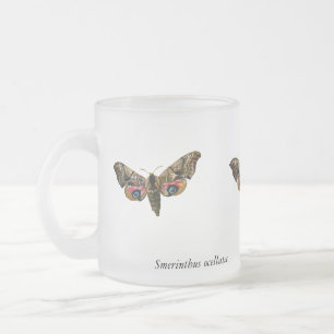 Taza De Cristal Esmerilado Smerinthus ocellata - Ojos Hawk-Moth - Imagen de c