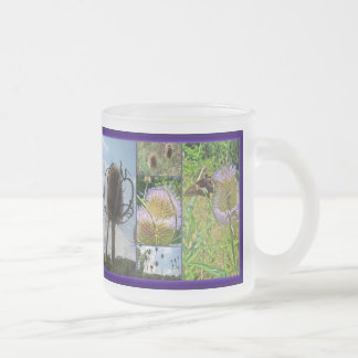 Taza De Cristal Esmerilado Teasel Thistle - Dipsacus fullonum