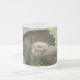 Taza De Cristal Esmerilado Tortuga gigante