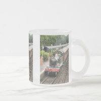 TRENES DE VAPOR