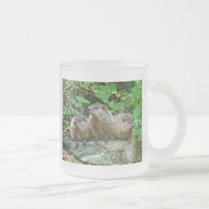 Taza De Cristal Esmerilado Tres Baby Groundhogs