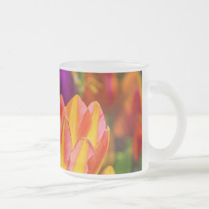 Taza De Cristal Esmerilado Tulipanes encantadores 16