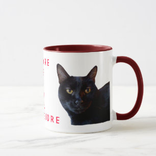 Taza de Deidres