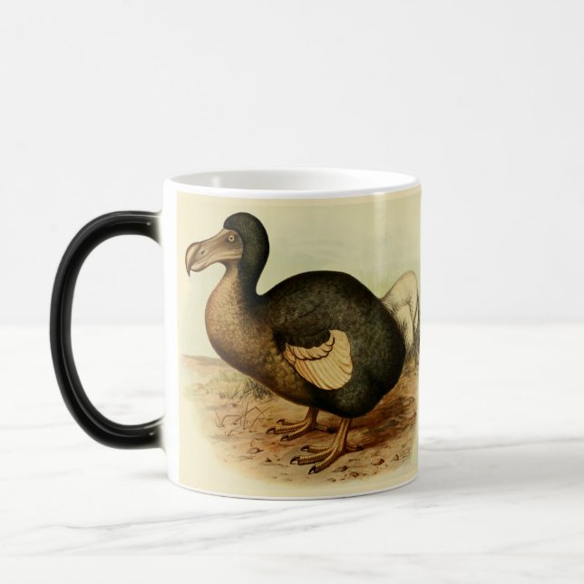 Taza de desaparición del Dodo (Izquierda)
