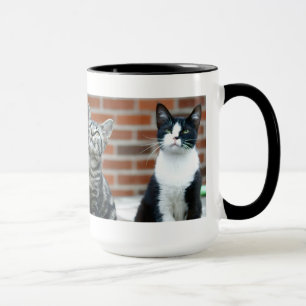 Taza de dos gatos