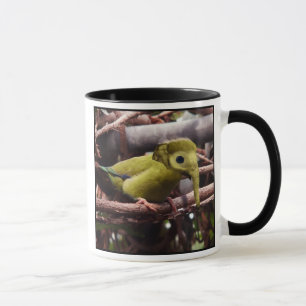 Taza de Elebird