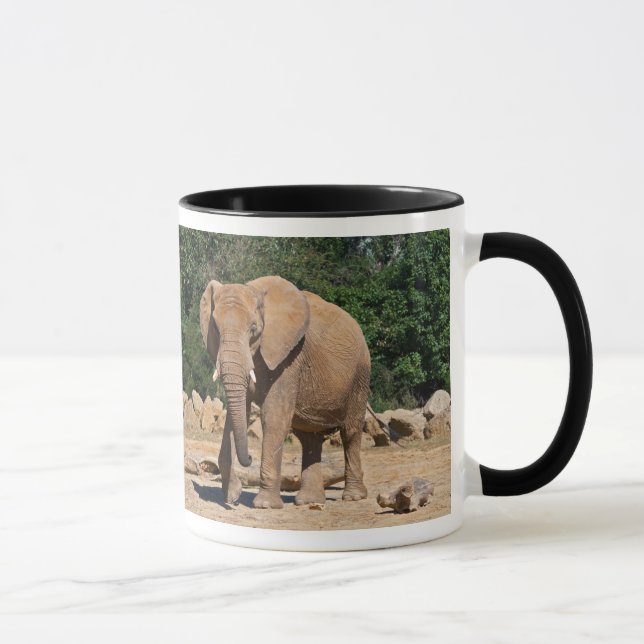 Taza de elefante macho (Derecha)