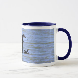 Taza de equilibrio del cormorán