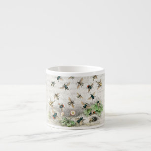 Taza De Espresso Abeja Reina Entomología Botánica Vintage