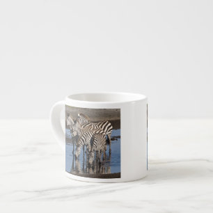 Taza De Espresso África. Tanzania. Cebras bebiendo en Ndutu