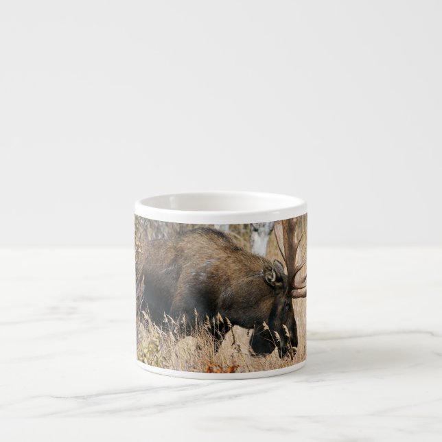 Taza De Espresso Alce pastando (Frente)