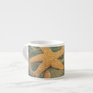 Taza De Espresso Anémonas verdes gigantes y estrellas de mar ocre