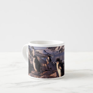 Taza De Espresso Antártida, crías de pingüino Adelie