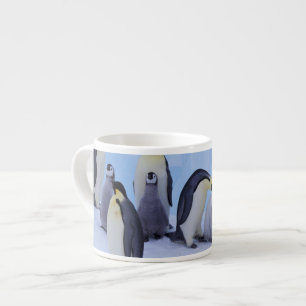 Taza De Espresso Antártida, Pingüinos Emperadores
