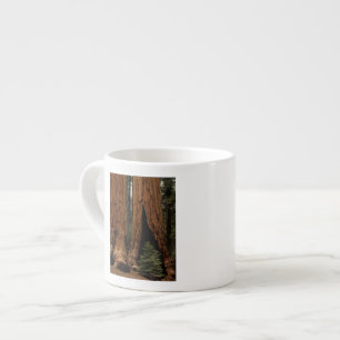 Taza De Espresso Árboles de secoya, Parque Nacional Sequoia.
