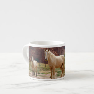 Taza De Espresso Arizona, Reserva de indios navajos, Chinle,