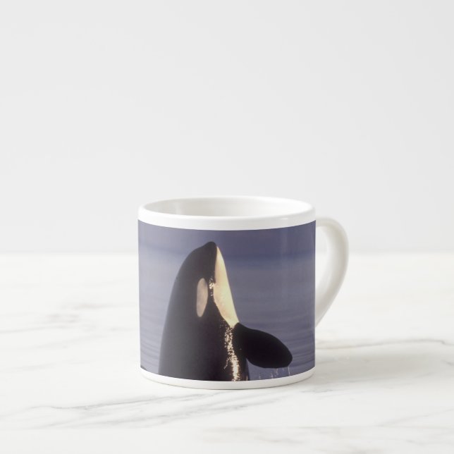 Taza De Espresso Ballena asesina de orca (orcinus) en spyhopping ce (Derecha)