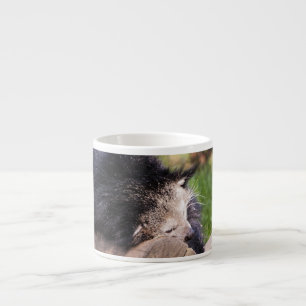 Taza De Espresso Binturong durmiendo