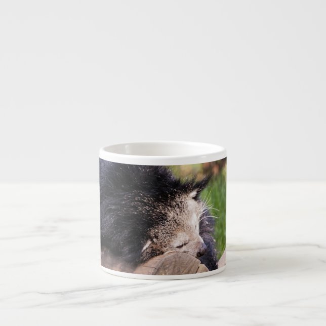 Taza De Espresso Binturong durmiendo (Frente)