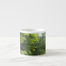 Bosque verde
