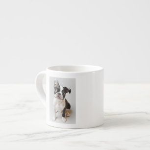 Taza De Espresso Boston Terrier