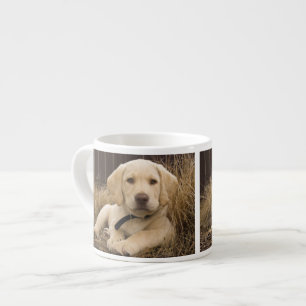 Taza De Espresso cachorro de Labrador Retriever