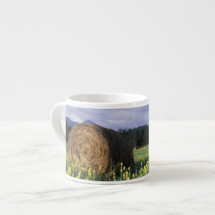 Taza De Espresso Canadá, Columbia Británica, Kitwanga. Amarillo